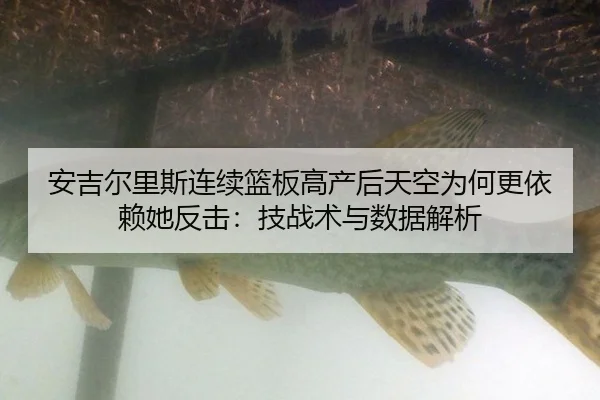an-ji-er-li-si-lian-xu-lan-ban-gao-chan-hou-tian-kong-wei-he-geng-yi-lai-ta-fan-ji-ji-zhan-shu-yu-shu-ju-jie-xi-2-761.jpg